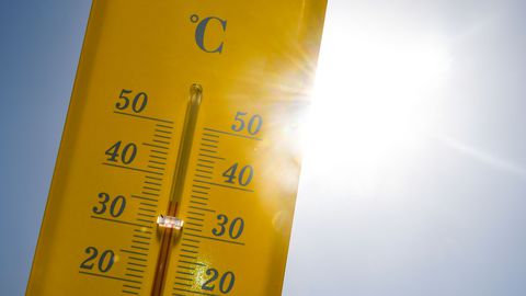 2019, 2e année la plus chaude dans le monde