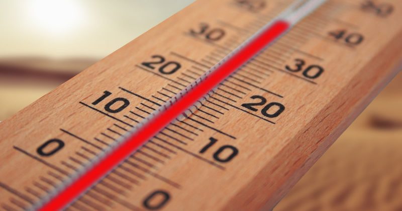 Janvier 2020 a été le mois de janvier le plus chaud jamais enregistré  sur la planète
