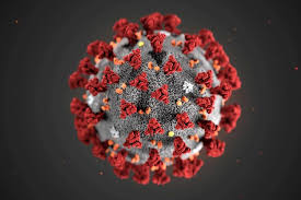 Coronavirus: Plus de 10 millions de personnes touchées dans le monde