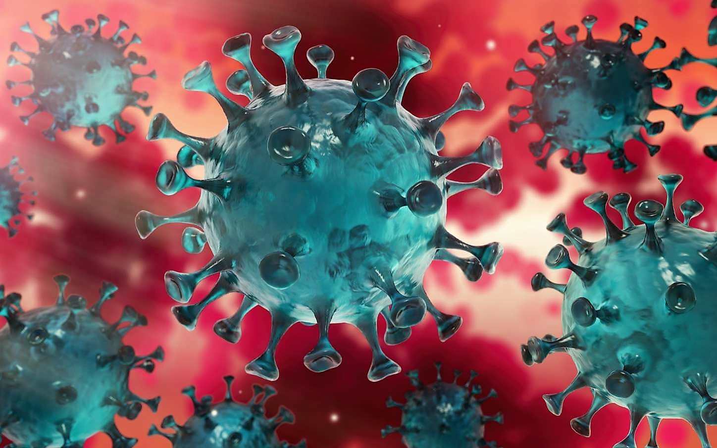 Coronavirus: 283 nouveaux cas, 136 guérisons et 7 décès en Algérie durant les dernières 24h