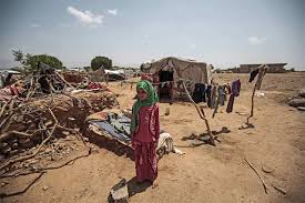 Au Yémen, des millions d’enfants sont au bord de la famine, selon l’Unicef