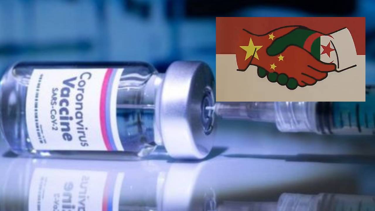 الصين تقرّر إرسال شحنة « مستعجلة » من لقاح كورونا إلى الجزائر