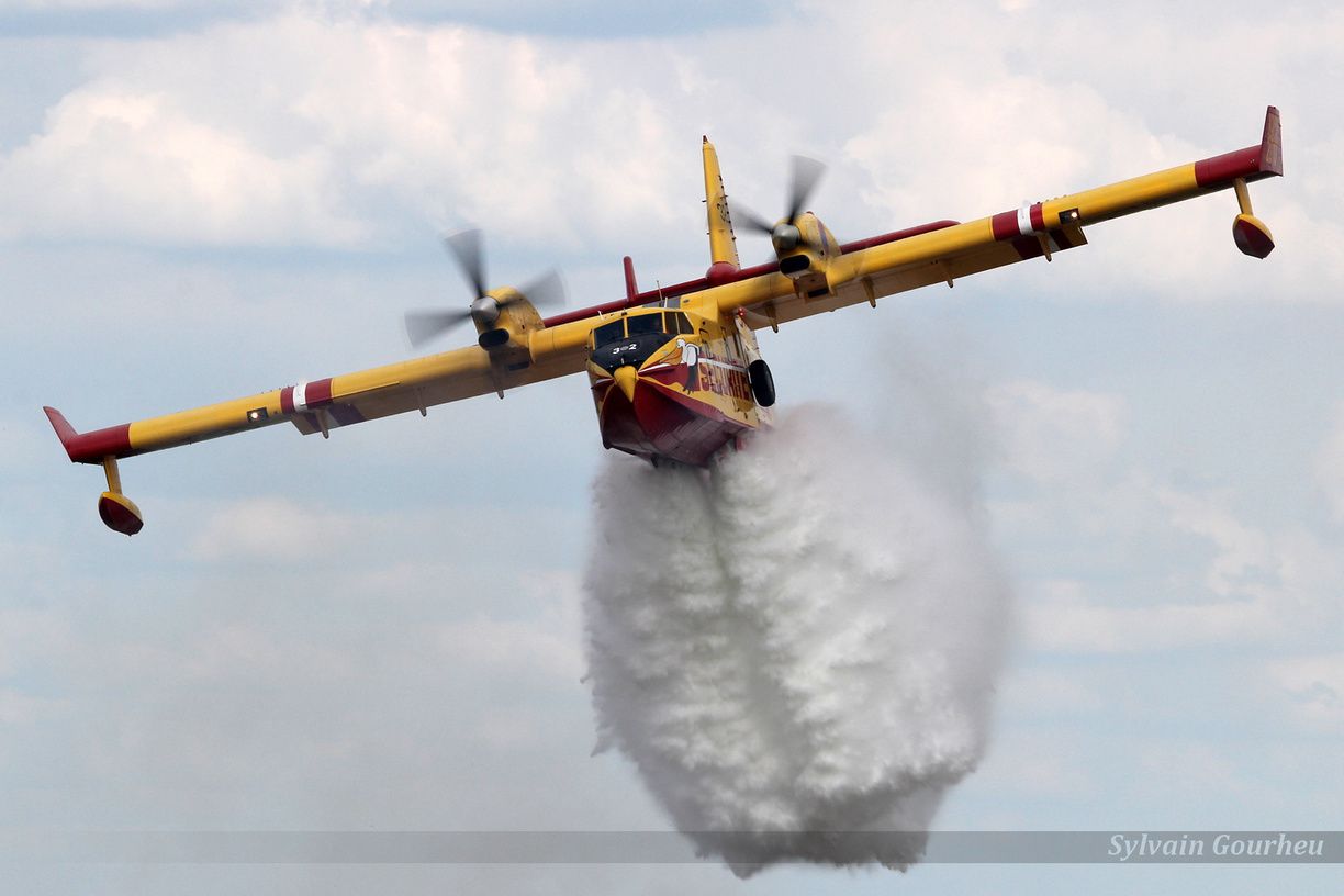 Les canadairs face aux Feux de forêt en Algérie : premier bilan des opérations