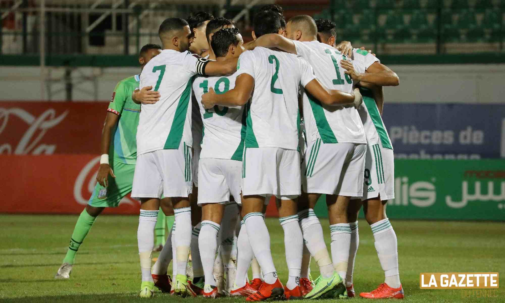 Eliminatoires de la coupe du monde 2022 : un match nul sépare les Fennecs du prochain tour