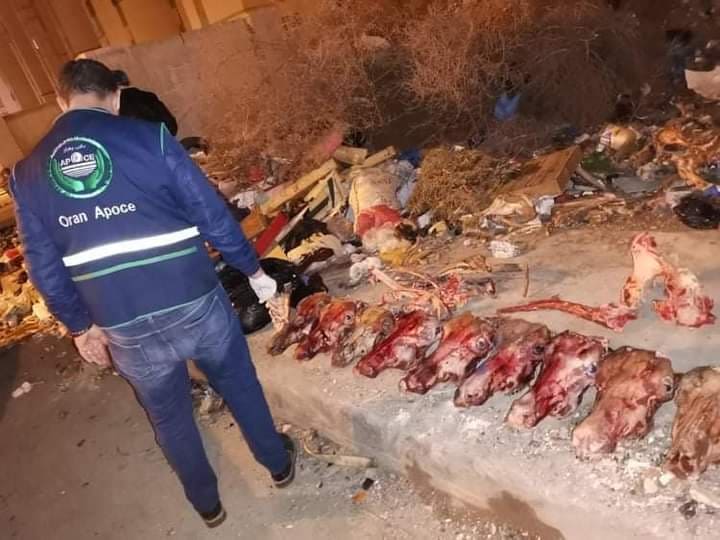 العثور على هياكل حيوانات يشتبه بأنها للحمير، ببئر الجير بوهران