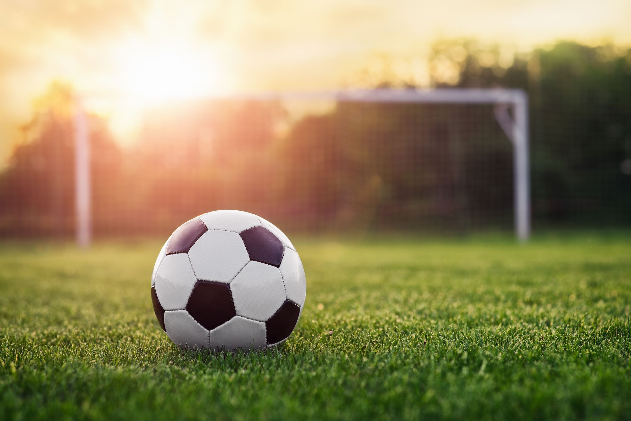 Foot : pour des raisons sanitaires le match Algérie-Gambie annulé