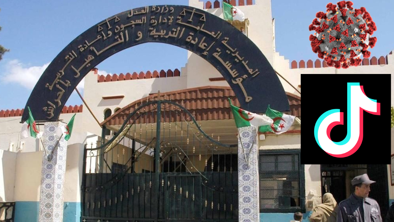 الجزائر: الحبس المؤقت لـ « منتحل صفة » طبيب روّج لخطورة اللقاح على تيكتوك
