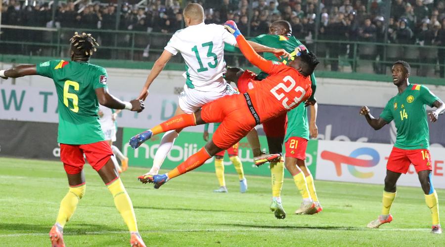 الفاف يكشف عن جديدٍ يتعلّق بمباراة الجزائر الكاميرون