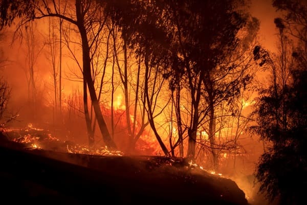 سكيكدة: إيداع شاب الحبس المؤقت سبّب حرائق ووفاة شخص بعد رميه سيجارة
