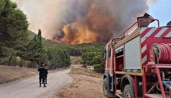 وصول حوامتين من القوات الجوية و 30 شاحنة إطفاء جزائرية للمساهمة في إخماد الحرائق بتونس 