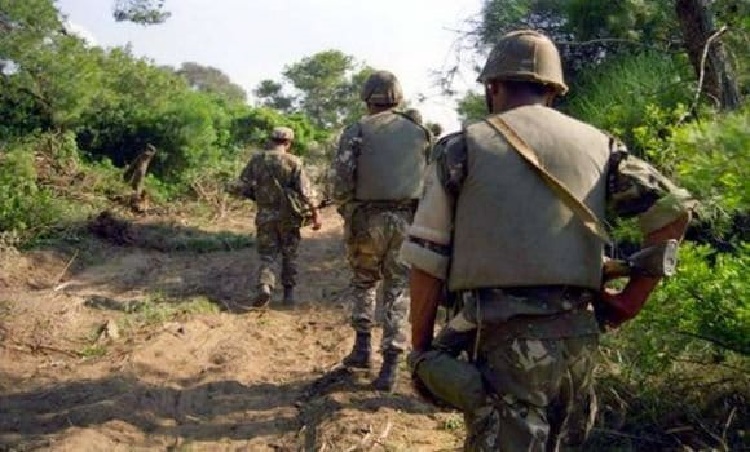 Trois terroristes abattus lors d’un ratissage à Tipaza