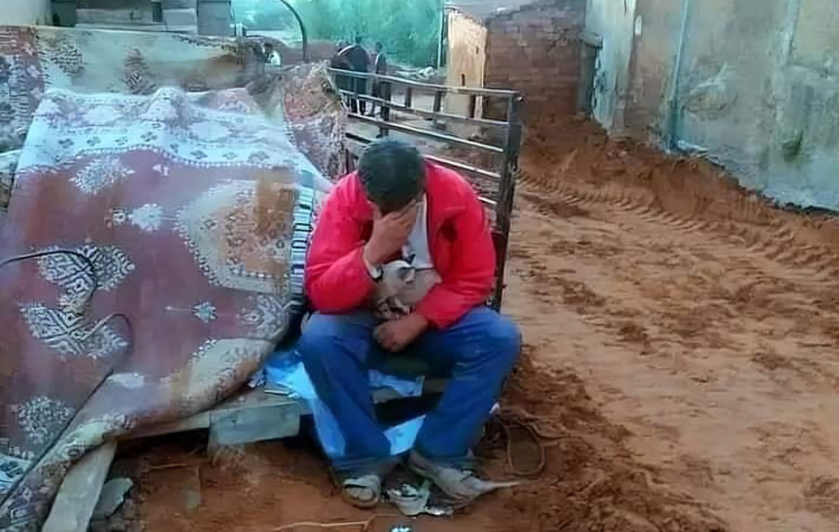 فيضانات: مجلس الوزراء يخصص مبلغ عشرة ملايير دينار لتعويض الضحايا