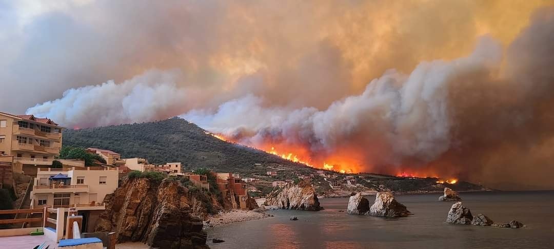 Incendies à Bejaïa : les citoyens sont évacués par voie maritime