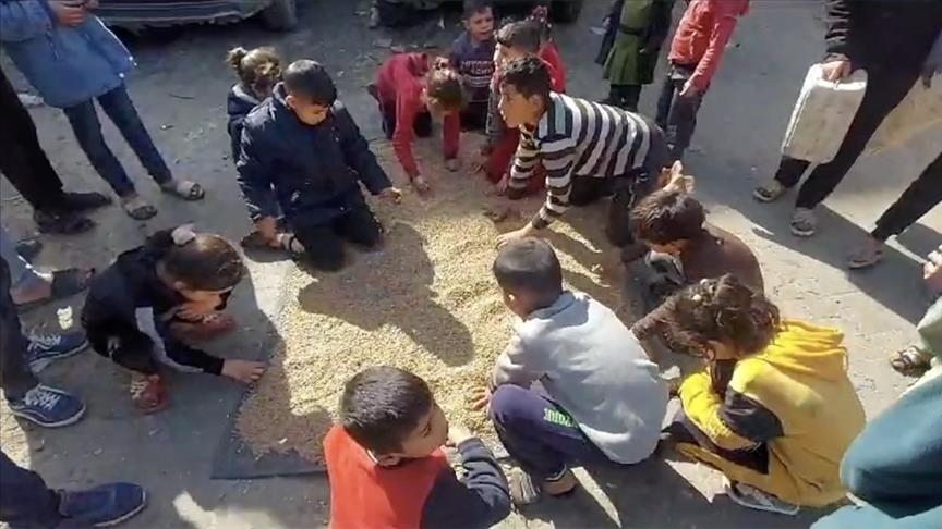 غزة: الجوع يجبر الفلسطينيين على تناول أعلاف الحيوانات