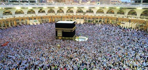Organisation du Hadj 2024 : la mise en garde de l’Onpo
