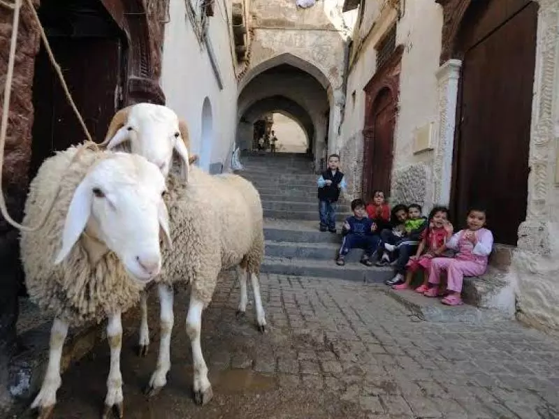 وزارة الشؤون الدينية: الاحد 16 جوان هو يوم عيد الأضحى